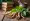 Understanding Ashwagandha: Efectos Secundarios You Should Know