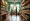 What is a Wellness Store? Understanding Its Role in Health