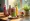 What Are Nutrition Drinks? Key Ingredients and Benefits Explained