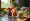 Vitamin for Energy: Compare B12, Iron, and Magnesium Benefits