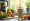 10 Meal Replacement Powders for Health-Conscious Consumers